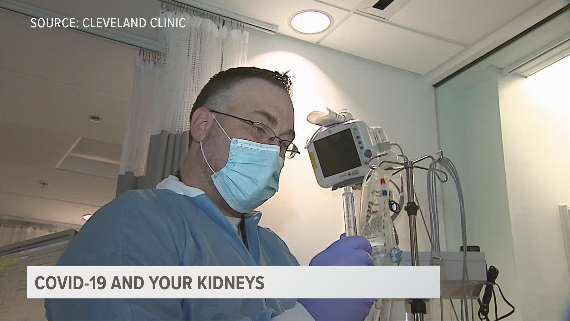 Since your kidneys are responsible for filtering your blood, the virus can put them at risk.