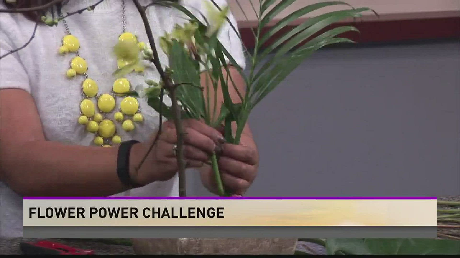 At the West Michigan Home and Garden Show, I'll be Competing in the uBloom Flower Power Celebrity Challenge... so today Flower expert J Schwanke from uBloom dot com is here to give me a few pointers� and help us all hone our flower arranging skills!