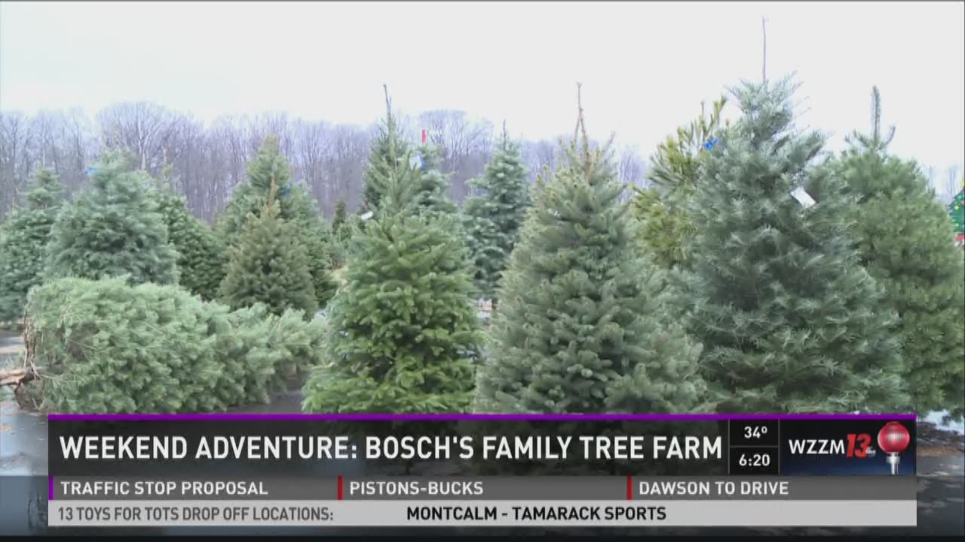 Weekend Adventure Bosch s Family Tree Farm wzzm13