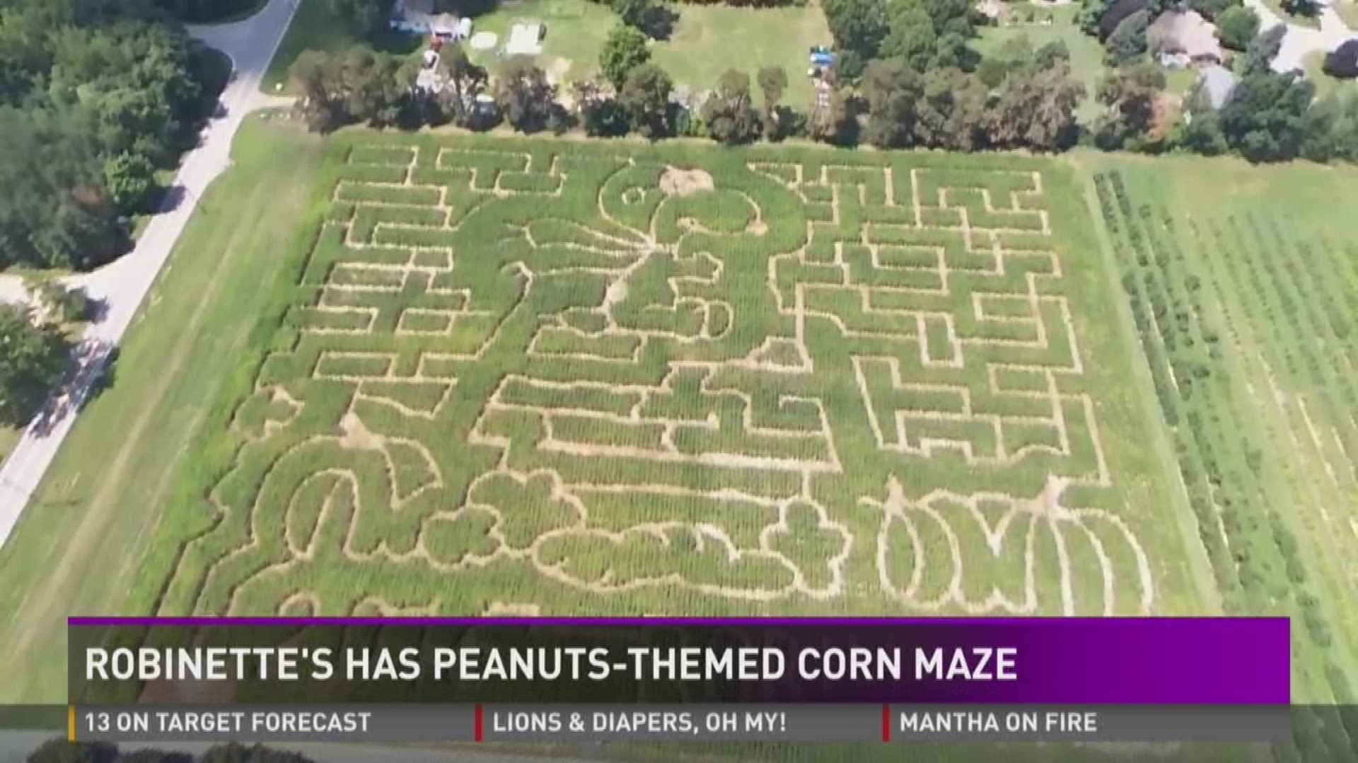 Robinette's Apple Haus and Winery is celebrating with a new, custom-designed peanuts themed corn maze.