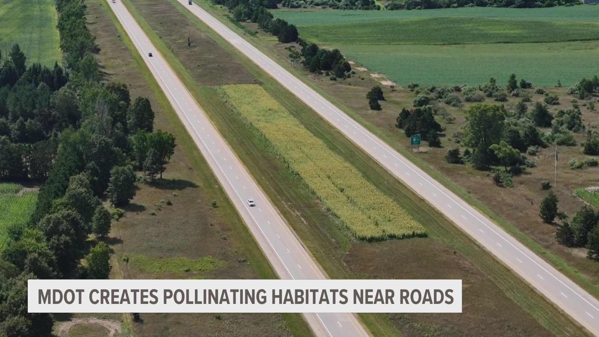 Around 12 acres of greenery have been planted along major roads in Kent and Oceana Counties.