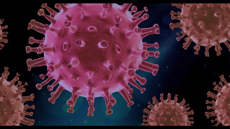 Coronavirus - Facts Not Fear