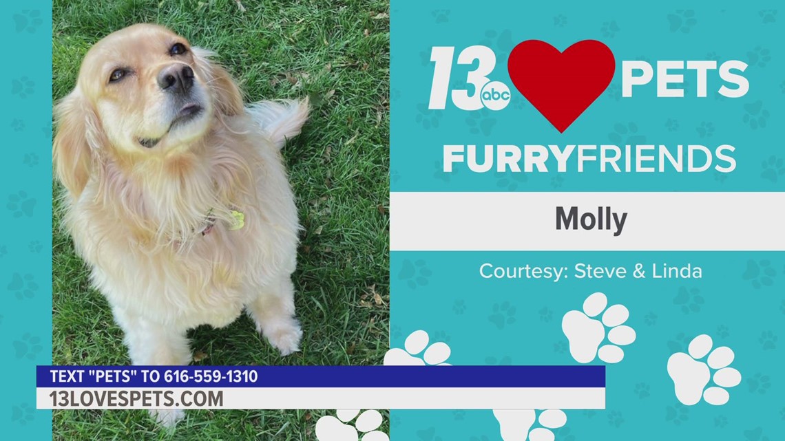 Furry Friends:  September 29, 2022 | Molly