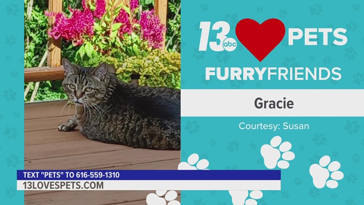 Furry Friends:  September 30, 2022 | Gracie