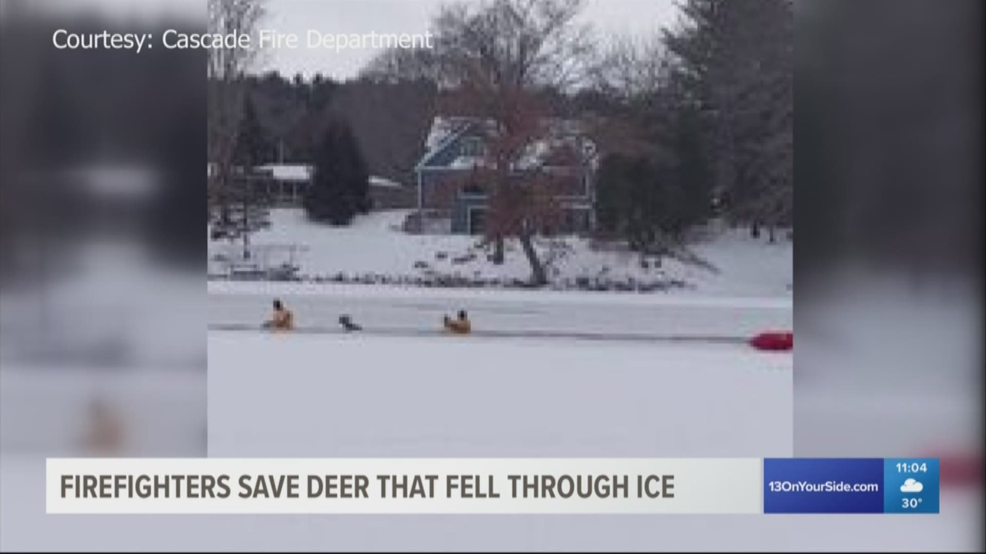 Firefighters received ice rescue training while saving a deer that fell through ice on the Thornapple River