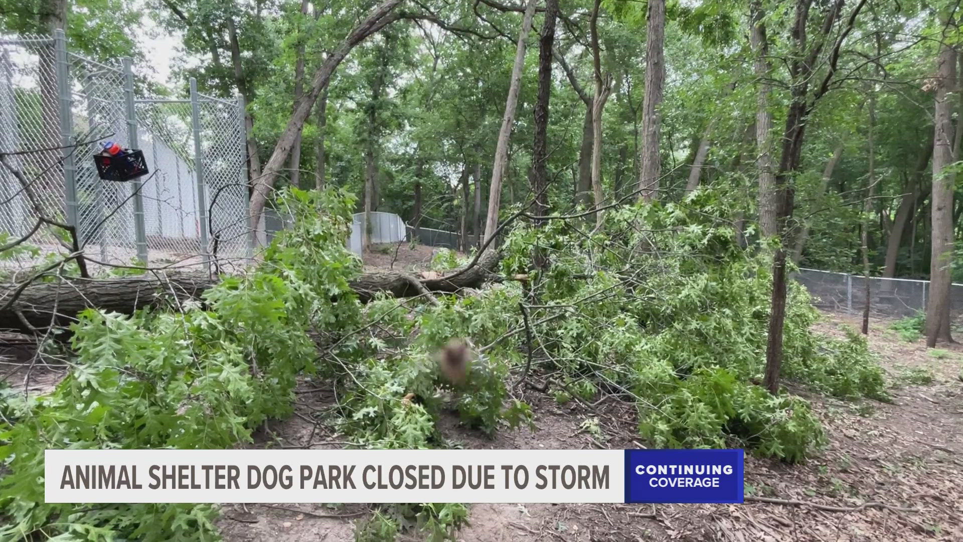 The park is temporarily closed until the fence can be repaired.