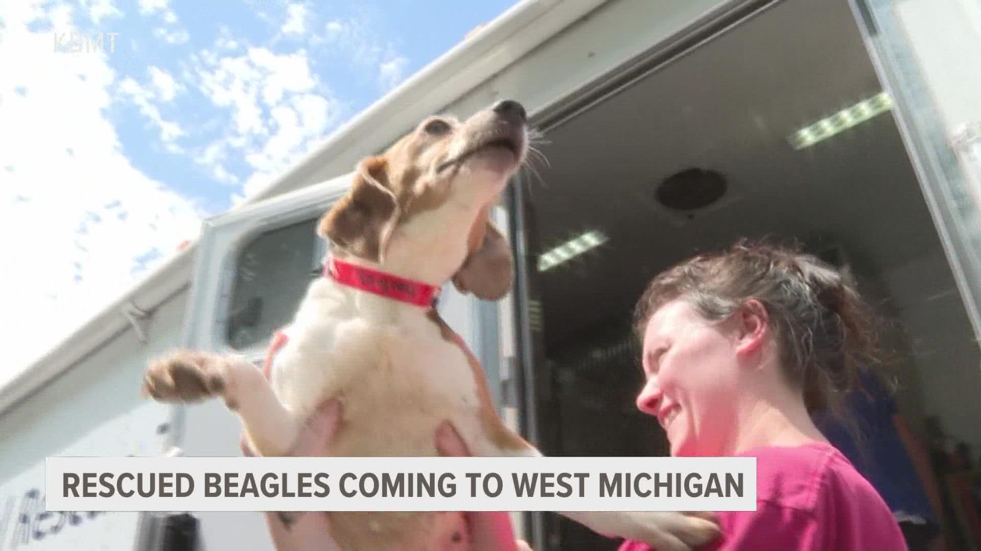 More than two dozen dogs are headed to a West Michigan animal shelter after thousands were rescued from a shutdown breeding facility in Virginia.
