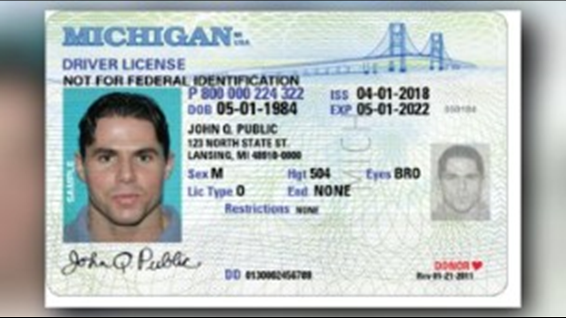 Michigan driver license types bporevolution