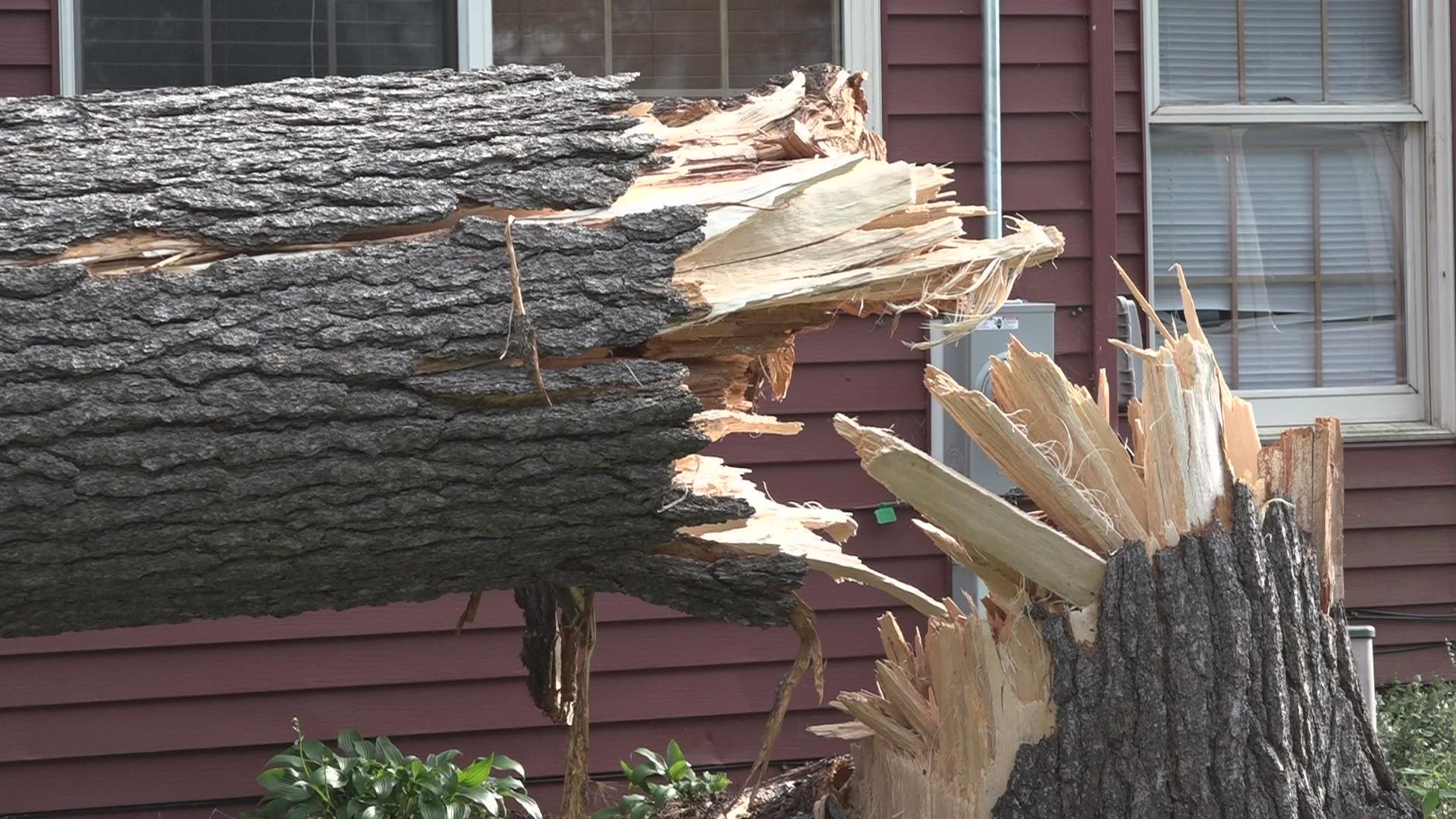 As severe storms pushed through West Michigan this week, one confirmed tornado touched down in Allegan County.