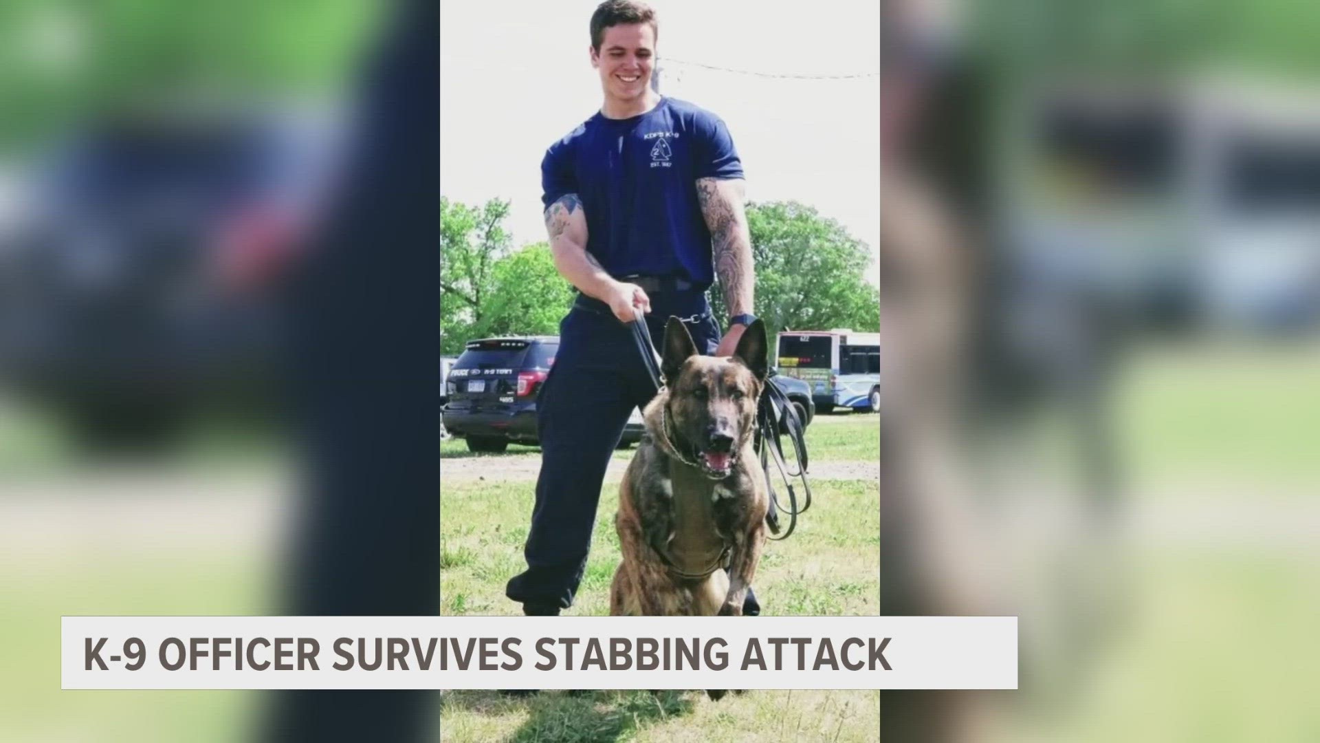 "Had he not done that, I don't know if he would have made it," said K9 Sledge's vet, praising the actions Sledge's handler helped save his life.