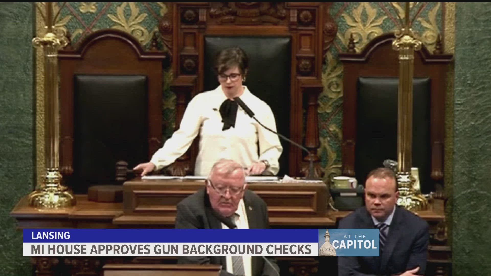 While there are already federal background checks, this bill aimed to expand background checks to include all firearms bought in Michigan.