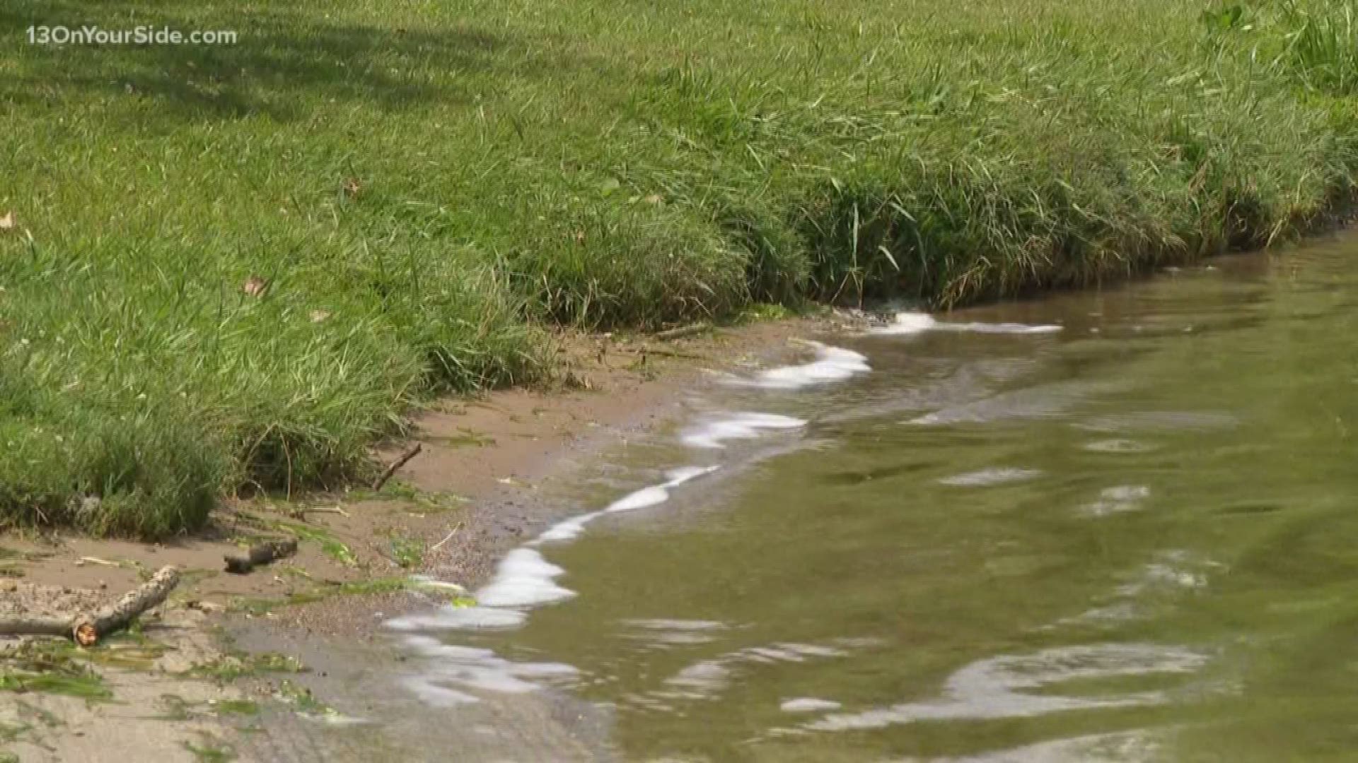 The area near Dumont Lake in Monterey Township was recently treated by a company for invasive plants.