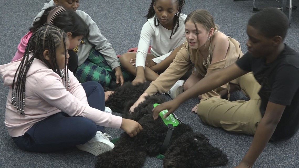 Therapy dog at Wyoming Elementary school helps students relax - Vimarsana News