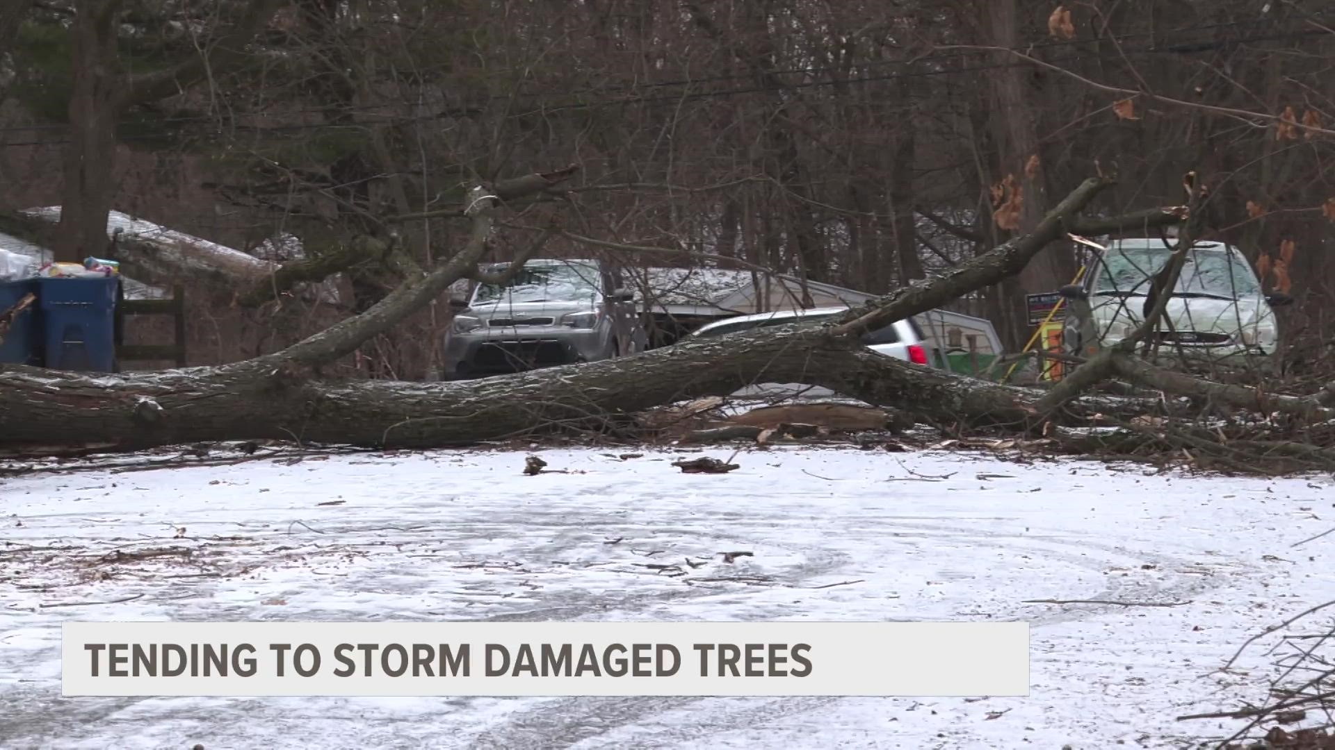 Lots of damaged trees are around West Michigan in the wake of recent winter storms. Meteorologist Michael Behrens has information on how to handle the clean up!