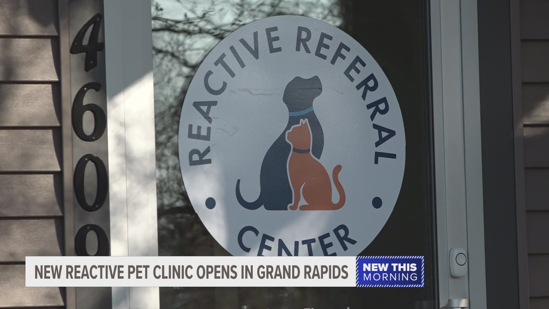While the clinic specializes in reactivity, you don’t need to have a reactive pet or a referral to come.