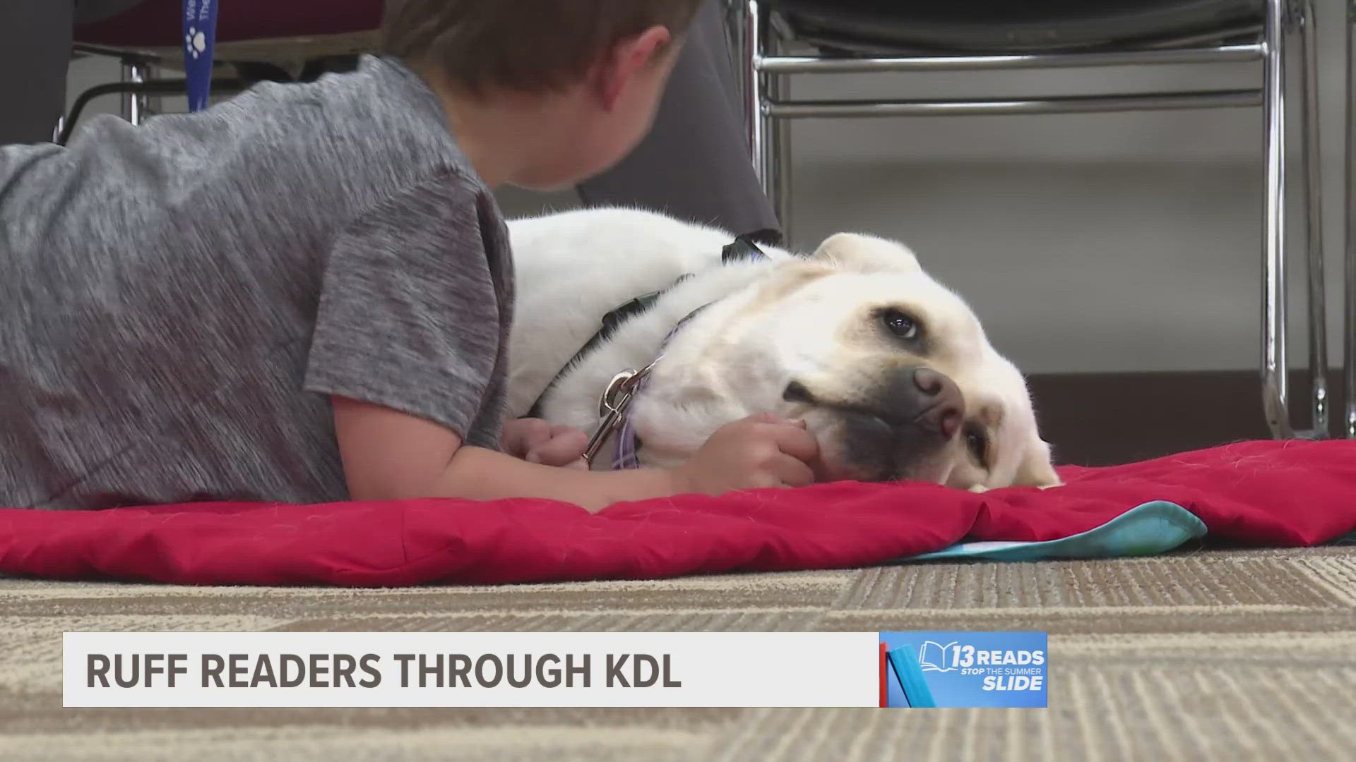 Eight Kent District libraries offer the Ruff Readers program, where children can read with a furry friend to help them gain reading confidence.