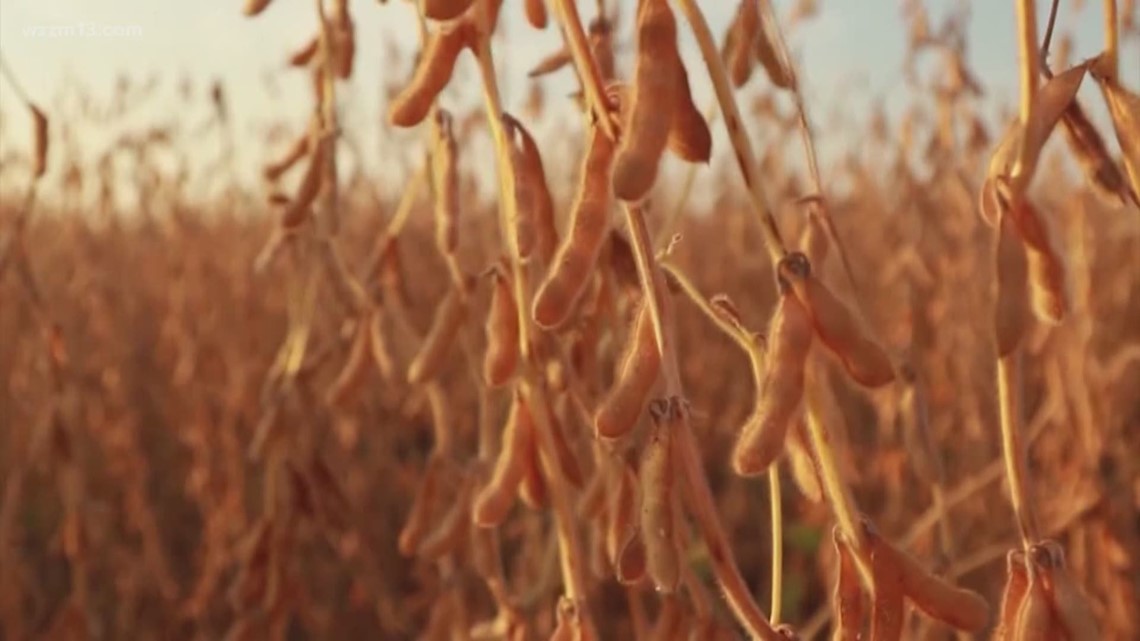 Rising diesel, fertilizer costs impacting Michigan soybean farmers