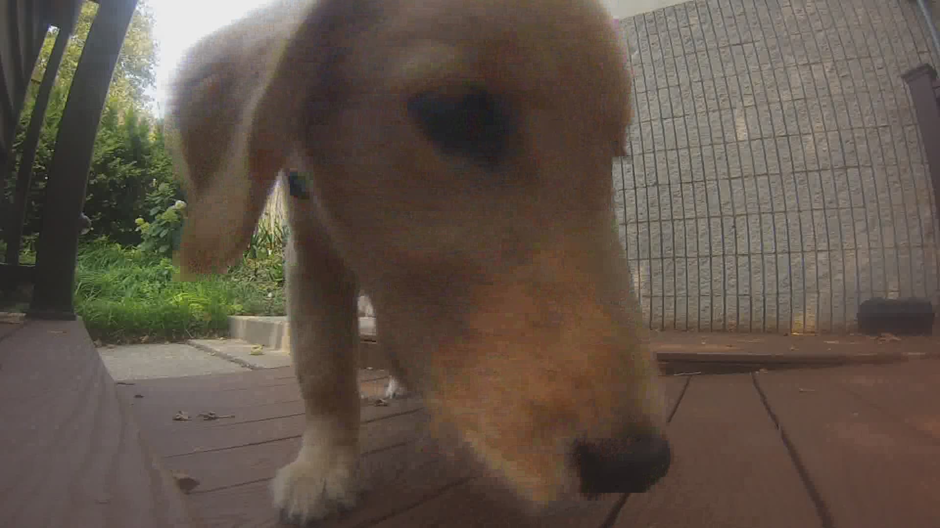 We gave Laker a camera today to follow her adventures during her visit with 13 ON YOUR SIDE.