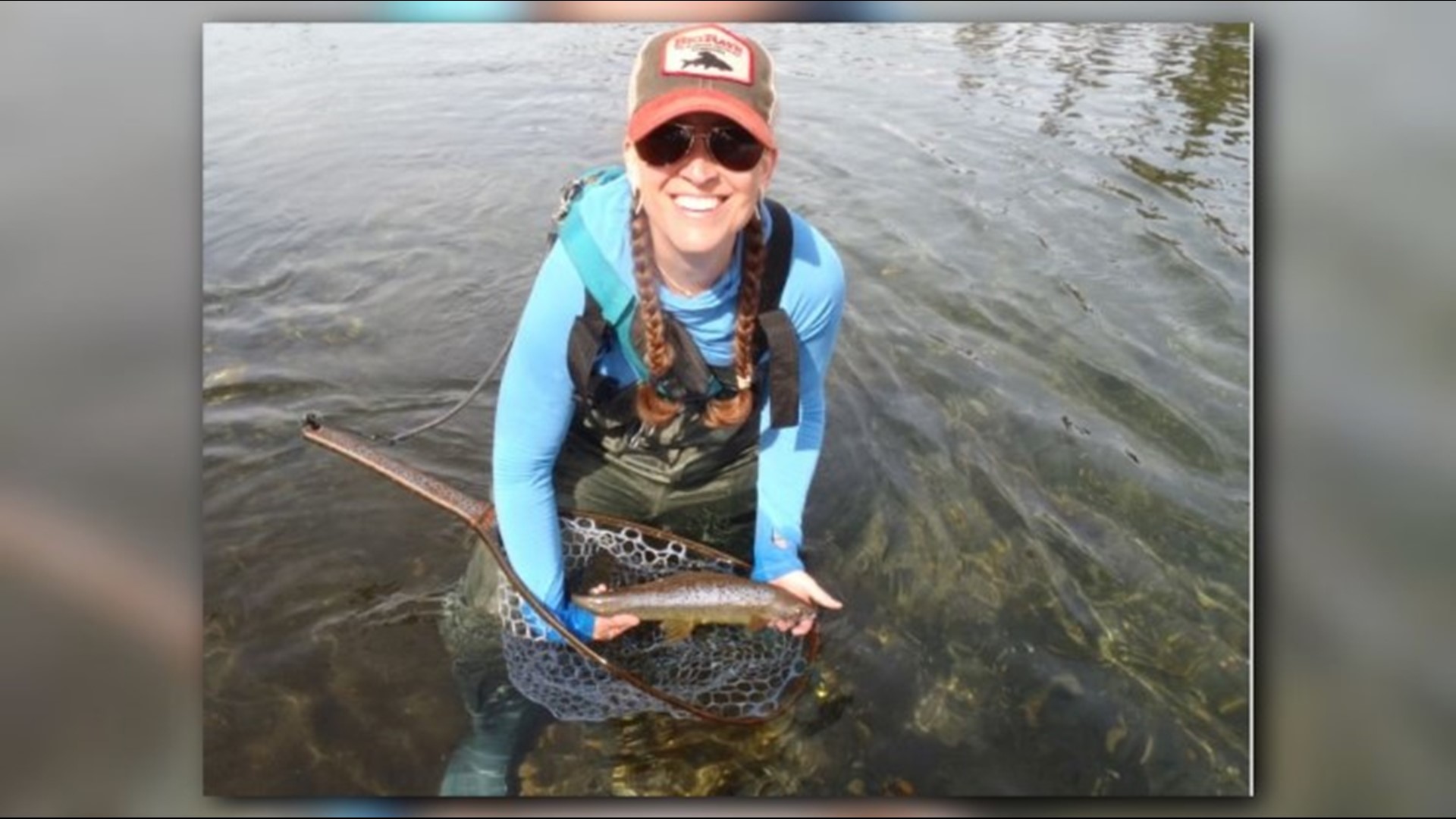 Arctic grayling return to Michigan as reintroduction initiative gains