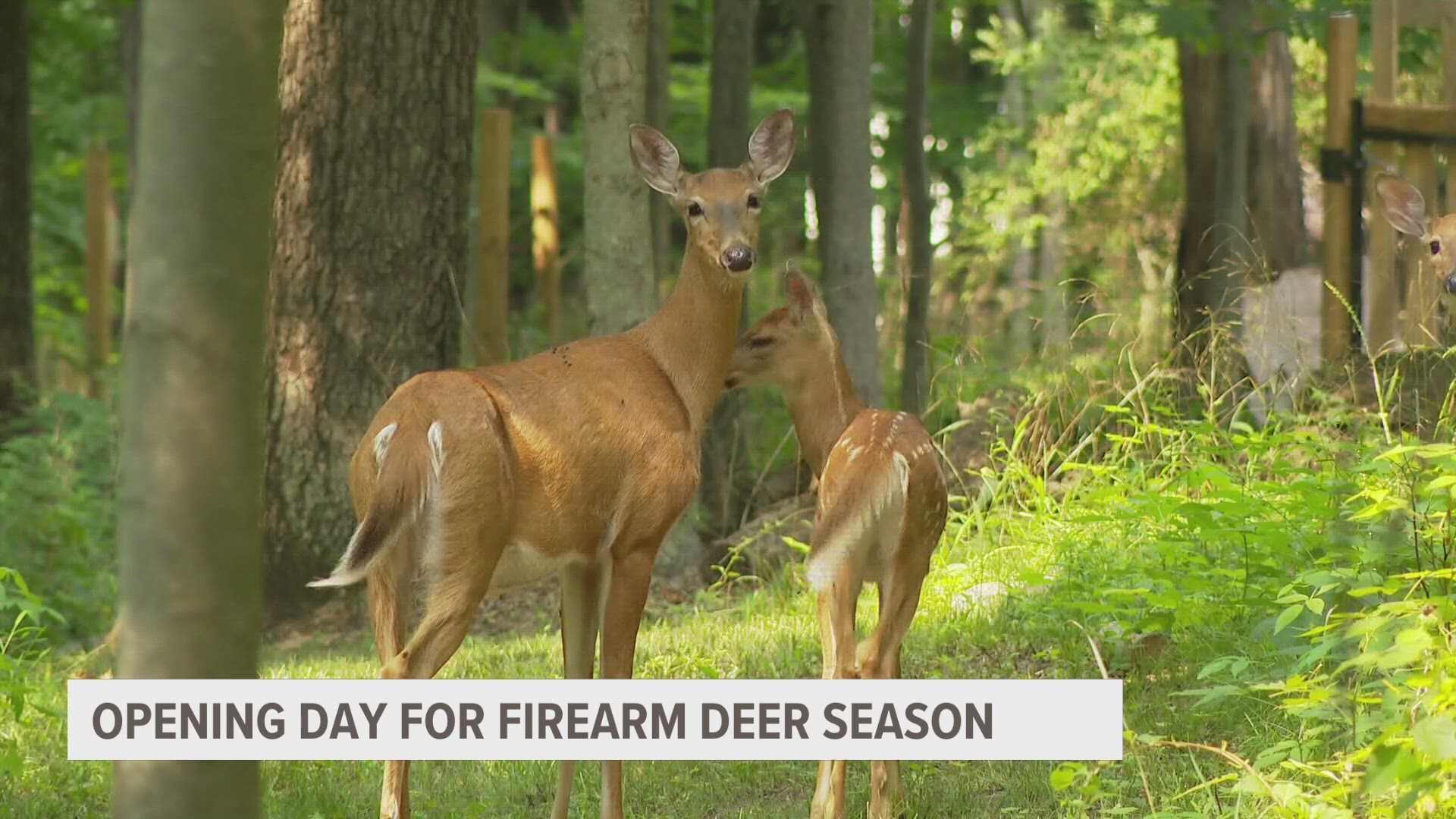 The Michigan Department of Natural Resources said bow hunters harvested more than 83,000 deer.