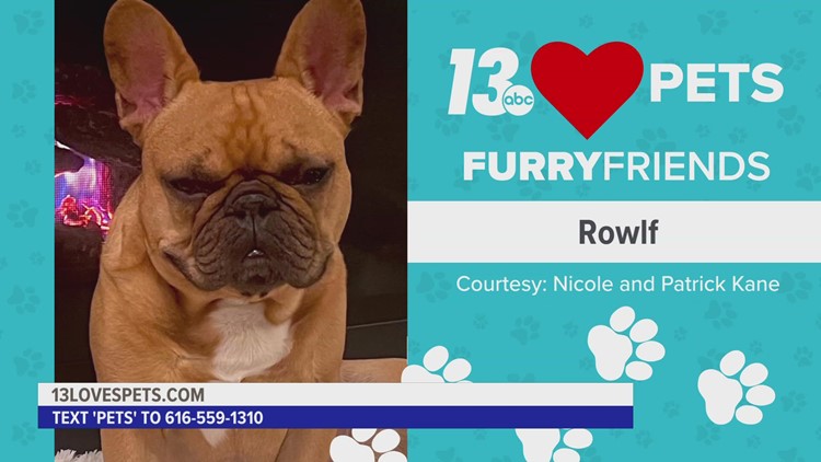 Furry Friends:  February 1, 2023 | Rowlf and Phoebe Louise