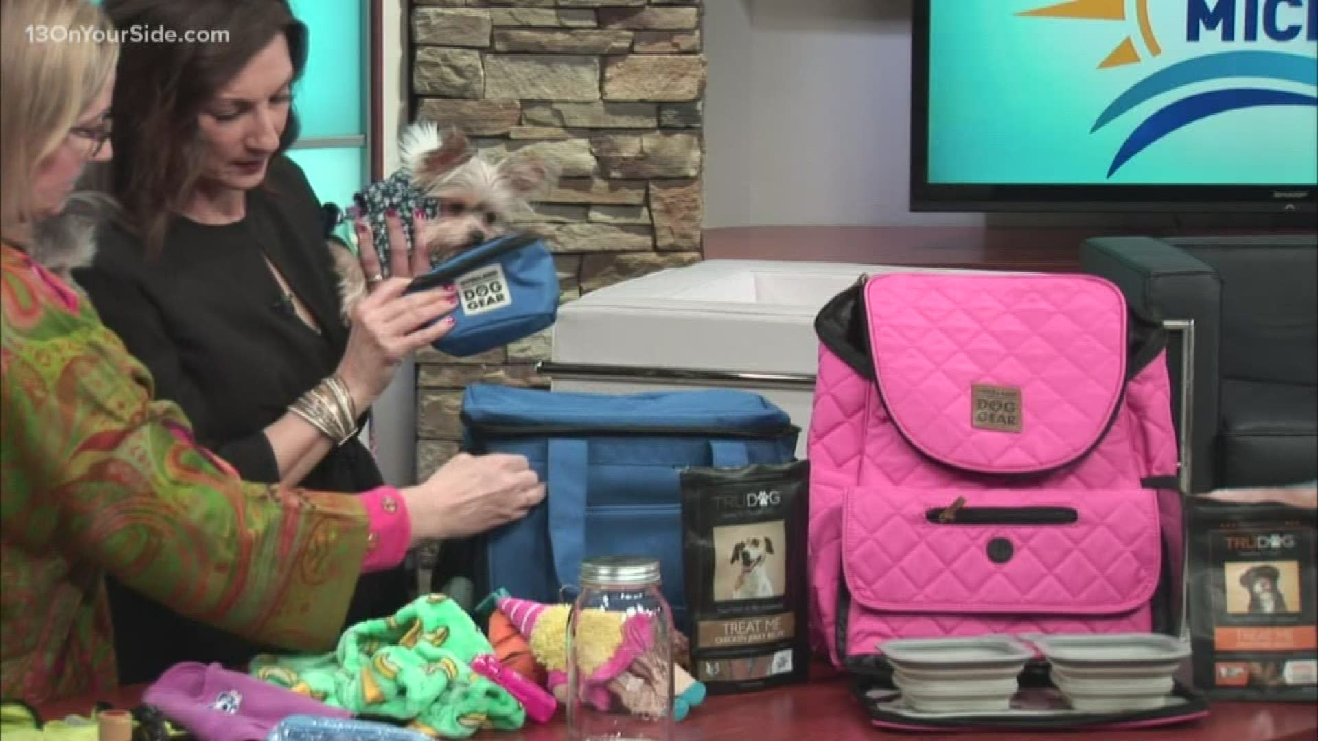 Planning a summer vacation with your family? Don't leave your furry members of the family at home -- check out these creative ways to travel with your pets. Adeina Anderson from Creative Lifestyles by Adeina joined My West Michigan in studio with all the details.