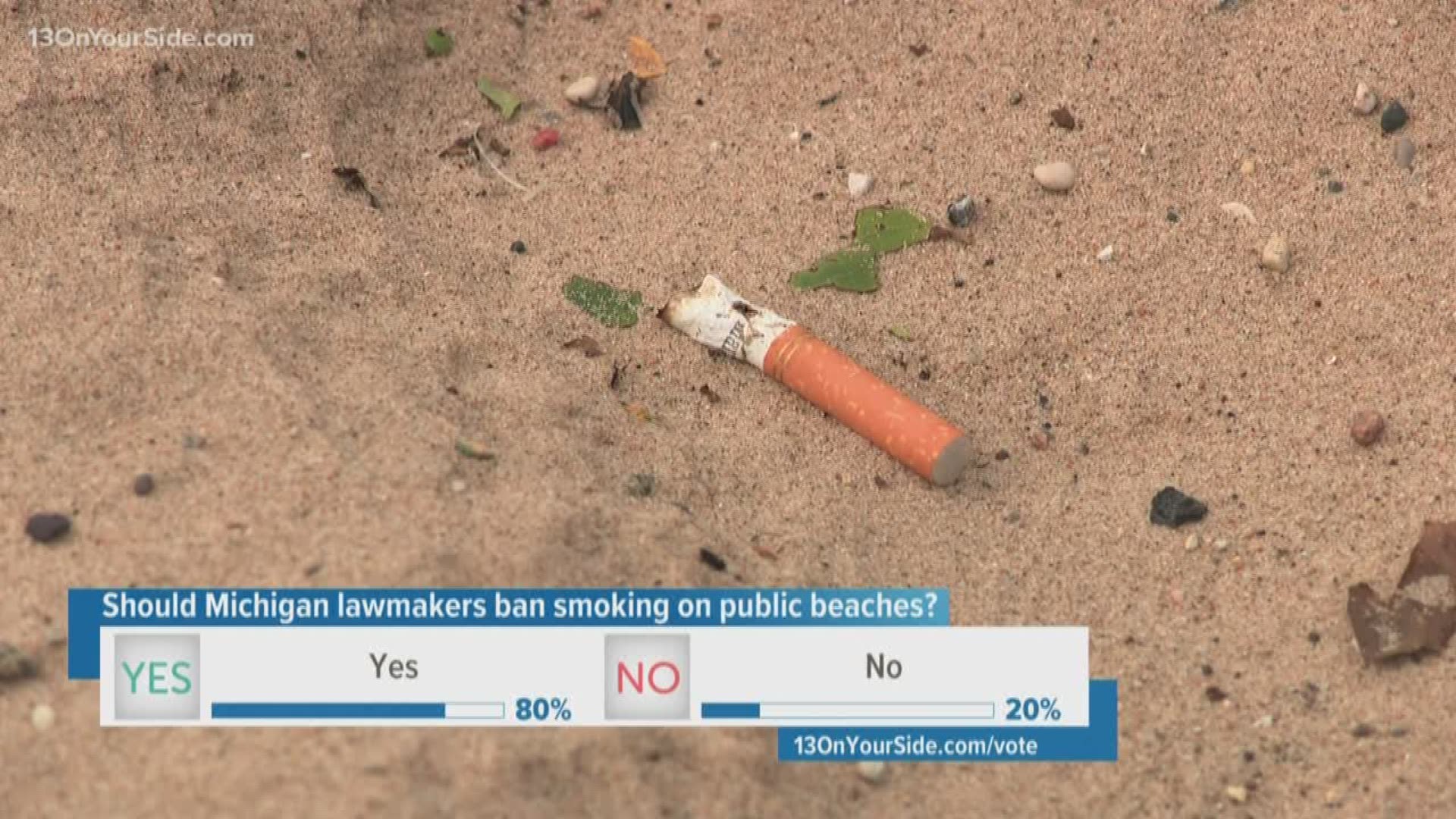 If approved, Michigan would join only a handful of states that ban smoking on public beaches.