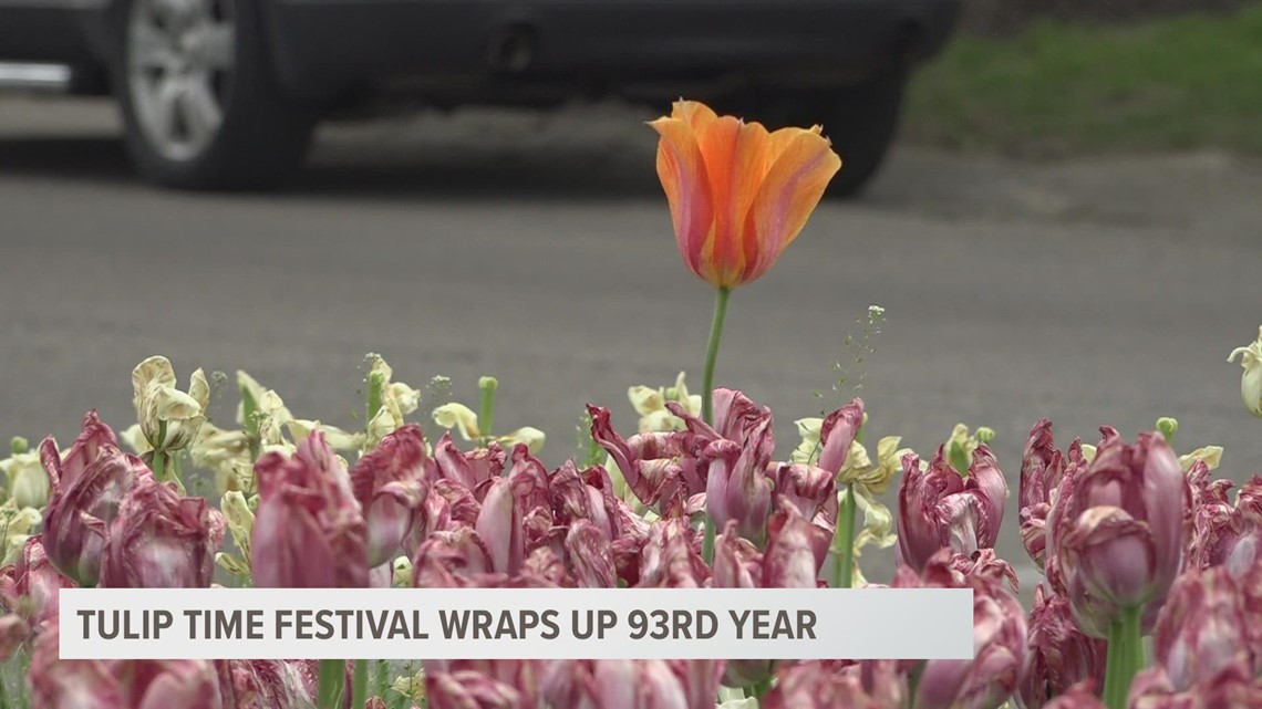 93rd Tulip Time Festival draws to a close Sunday