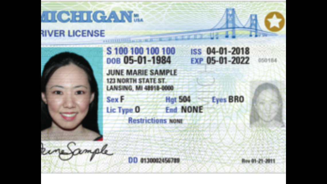 Noncitizen driver's licenses, News