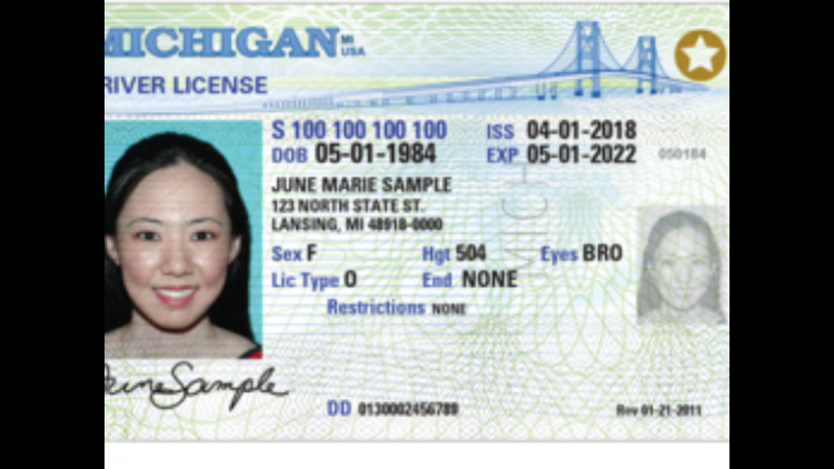 michigan drivers license check