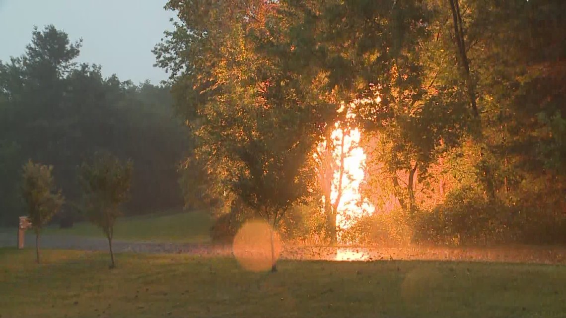 Gas line ruptures, catches tree on fire in Caledonia Township