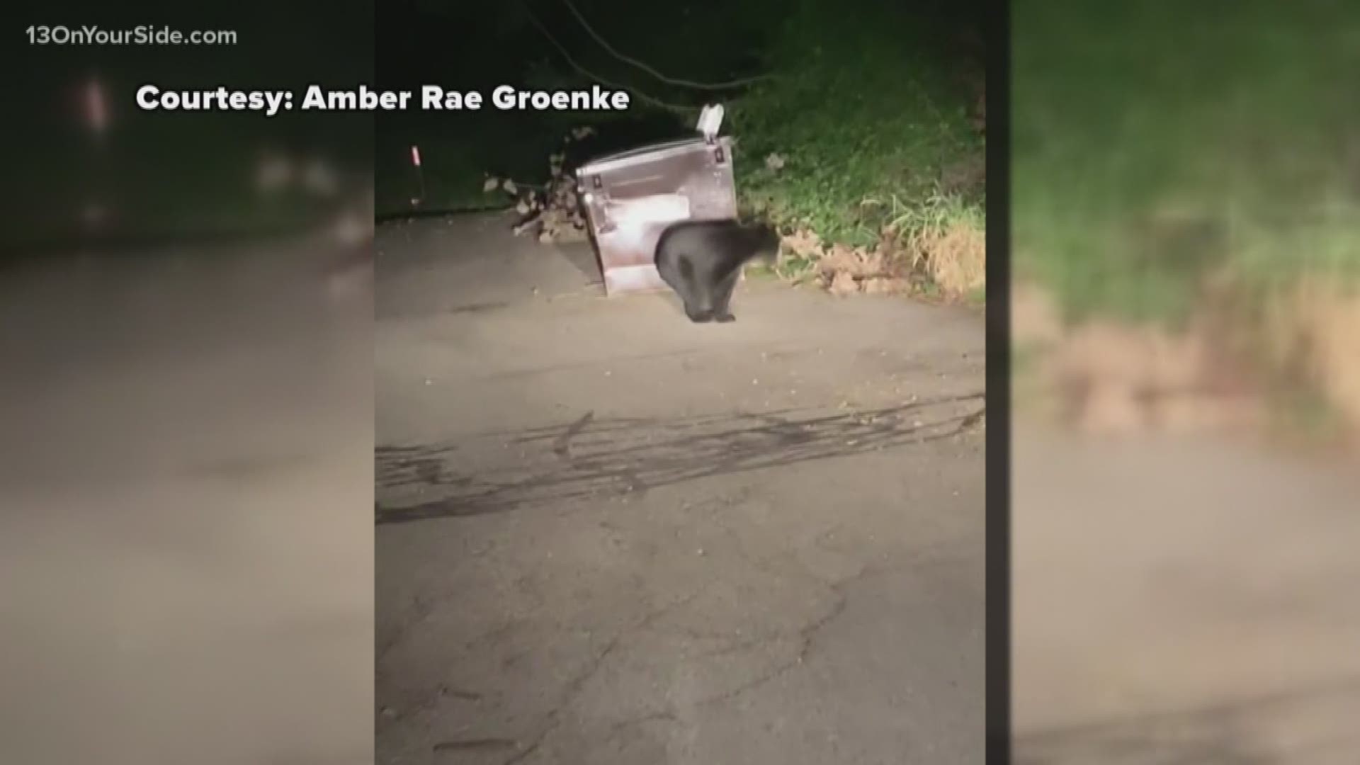 A bear has been sighted on Wednesday night at 4 Mile Road and Alpine Avenue, according to Kent County Dispatch. They say this isn't the bear's first appearance over the past few days.