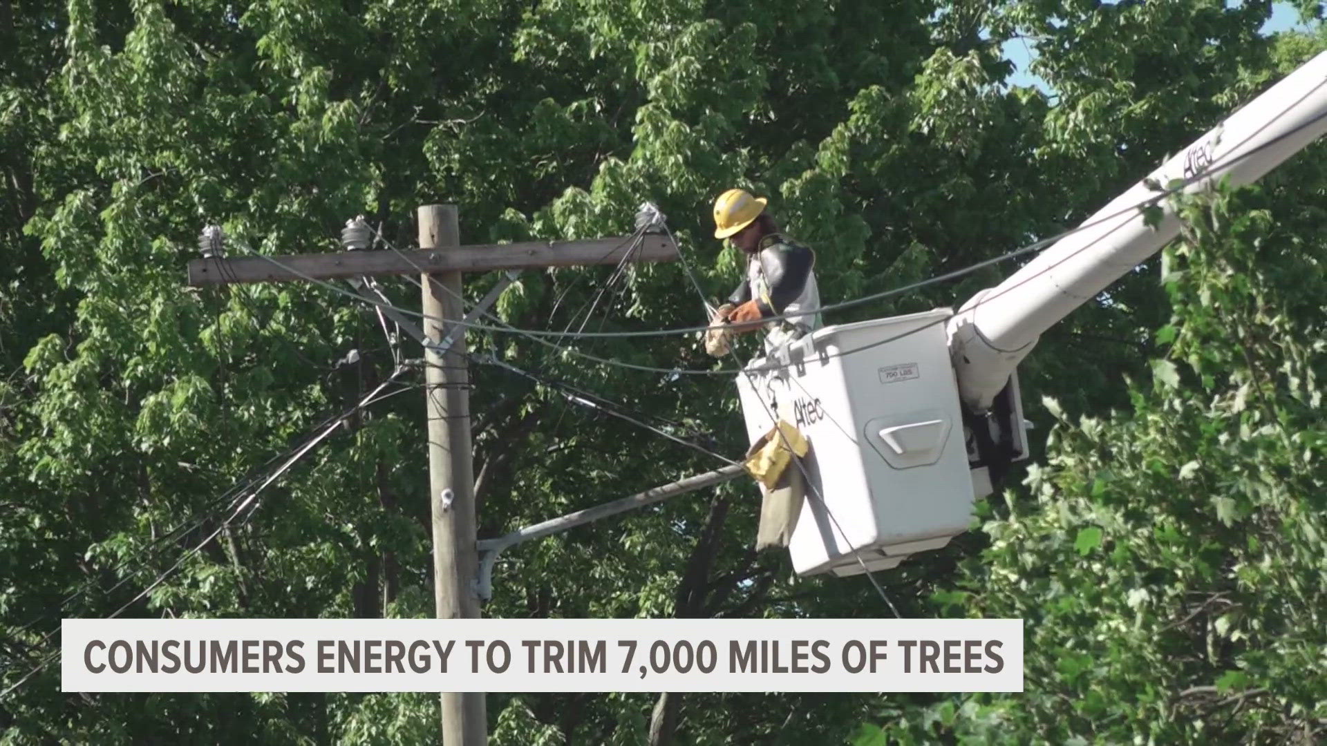 Consumers set this goal for the year to help keep branches off powerlines.