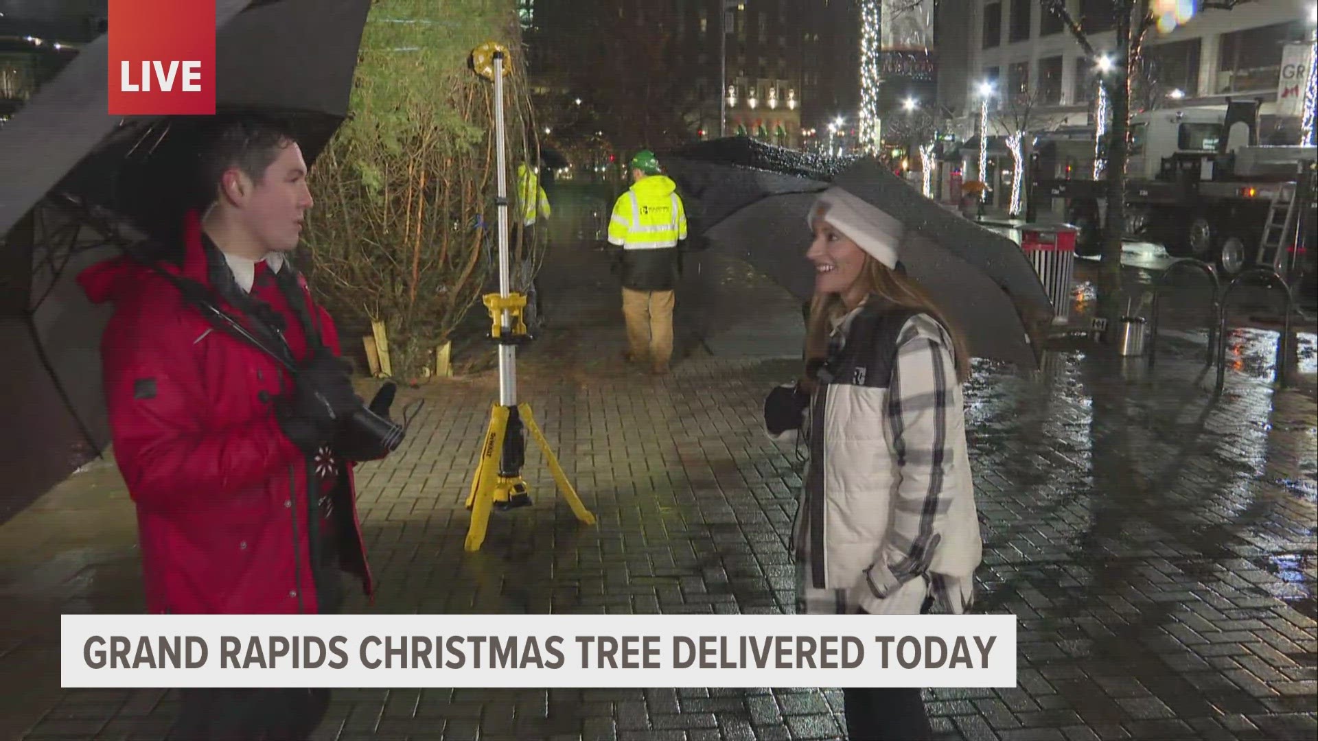 The tree was installed early Tuesday morning, and will be officially lit up in a ceremony on Friday, Dec. 1.