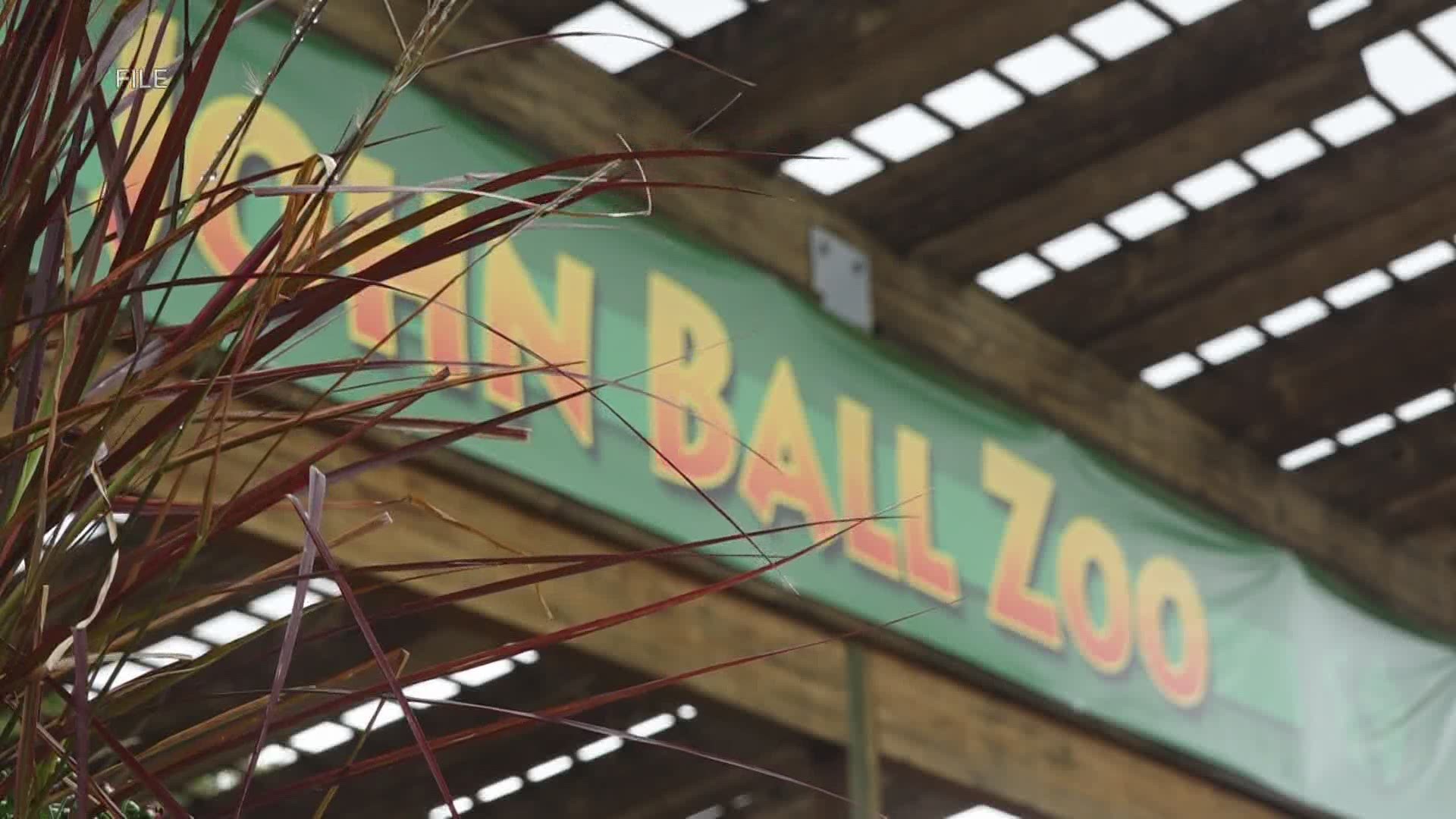 John Ball Zoo announced Tuesday that it hopes to open to members on May 29.