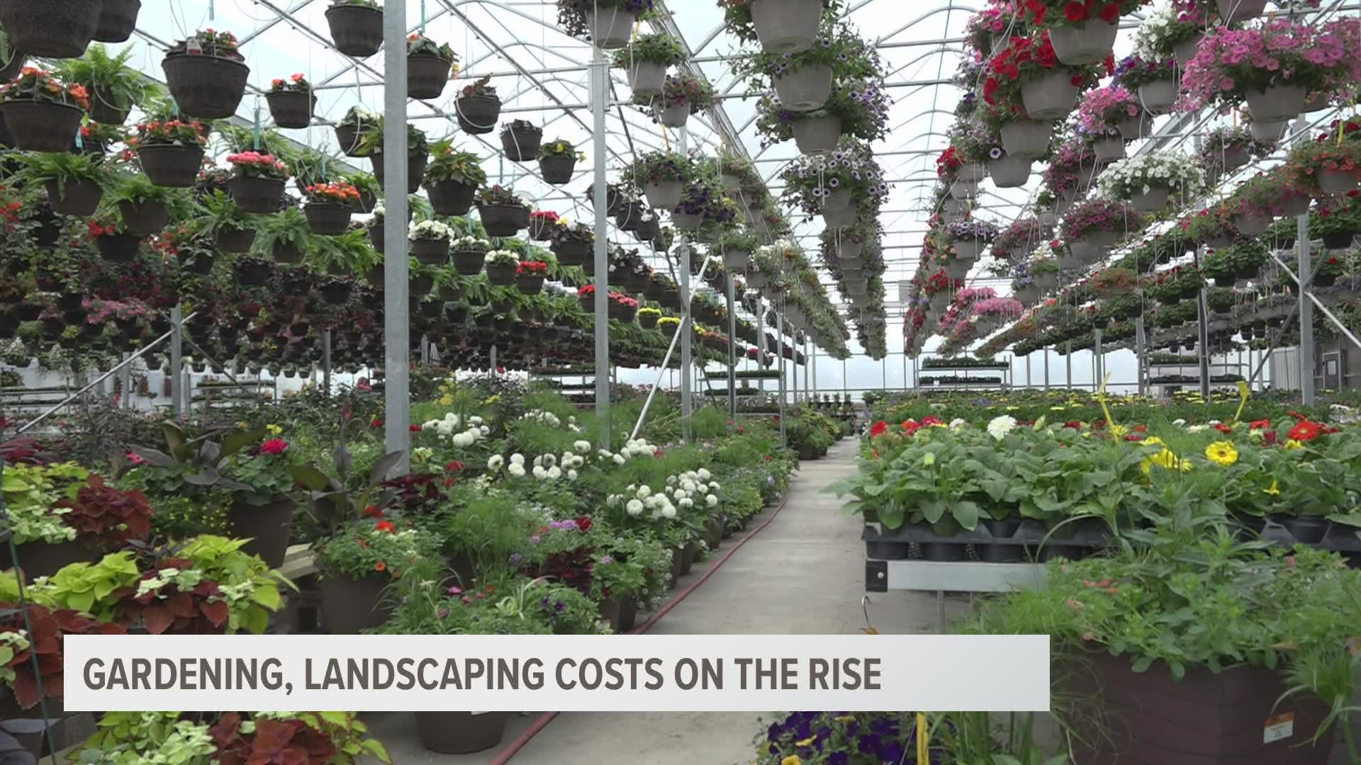 Labor shortages, supply chain challenges, and inflation force greenhouses and other businesses to increase prices.
