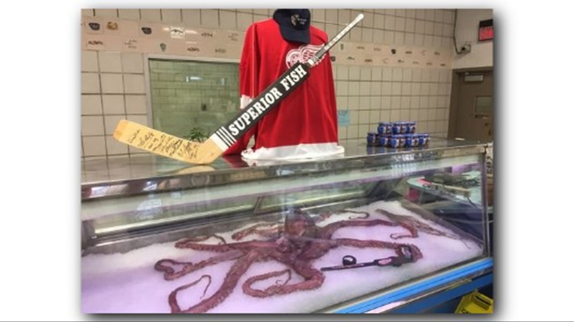 Detroit Red Wings fans' octopus source is going out of business