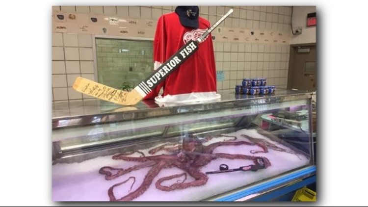 Lids Al The Octopus Detroit Red Wings Fanatics Authentic Unsigned Pregame  Photograph