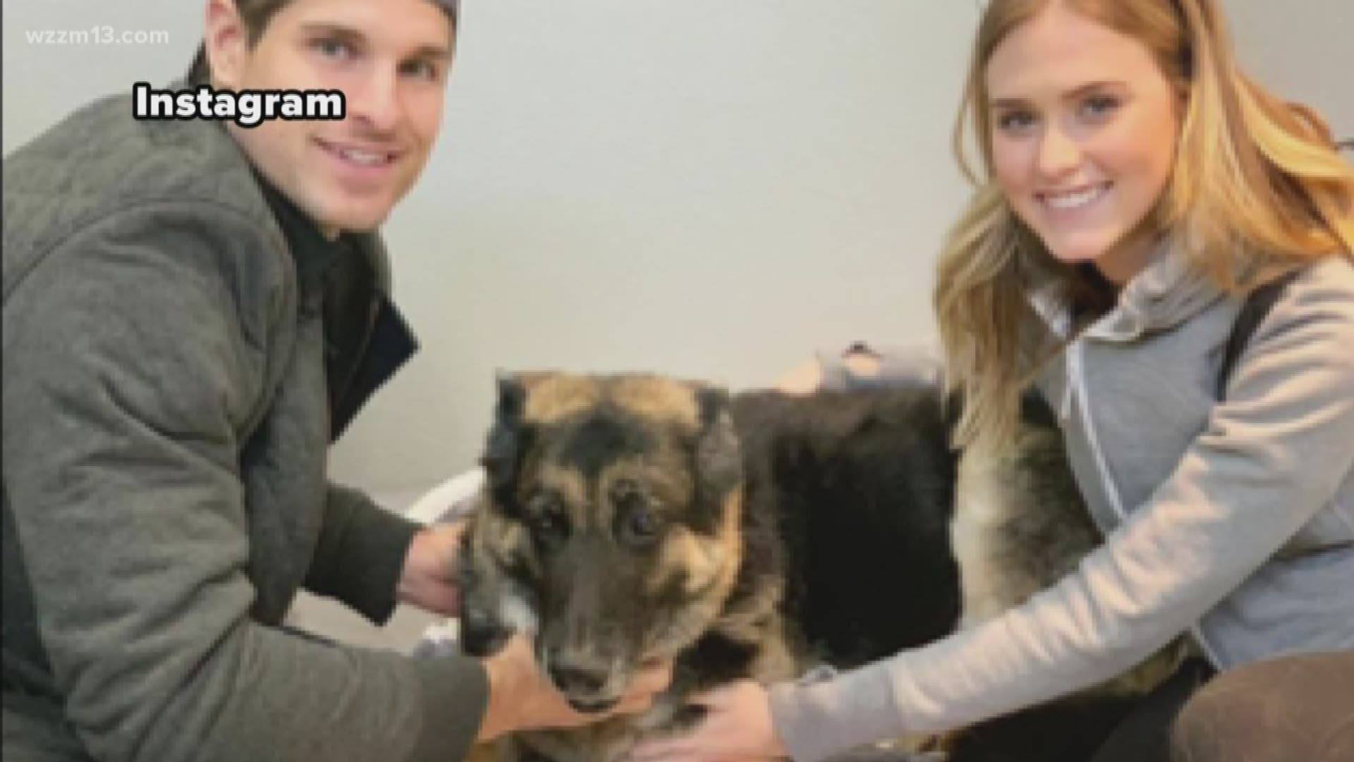 Campbell and his girlfriend, Ellen, gave a second chance to a 10-year-old German Shepard, Layla.