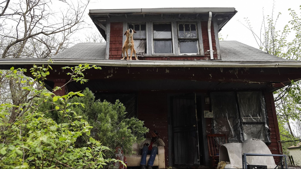 Dead bodies, wild dogs, squatters in governmentowned Detroit houses