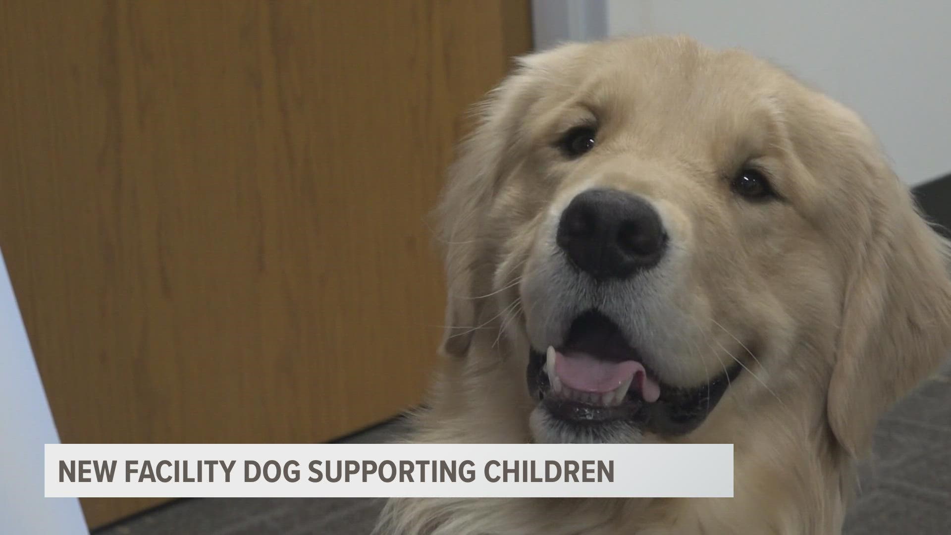 Bacon will join therapy sessions with kids at the Children's Advocacy Center of Kent County in a few weeks.