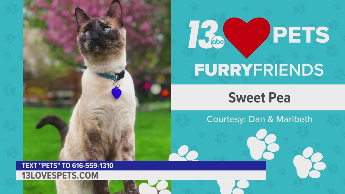 Furry Friends:  October 5, 2022 | Sweet Pea