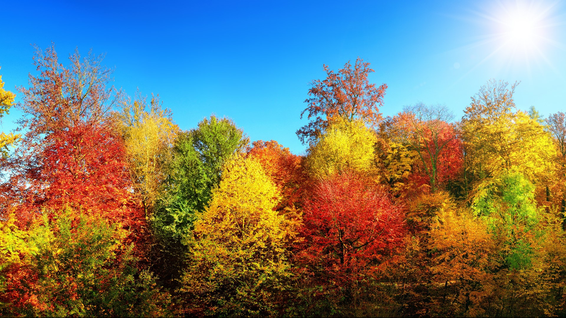 Week By Week Here s When Michigan s Fall Colors Will Peak In 2018 