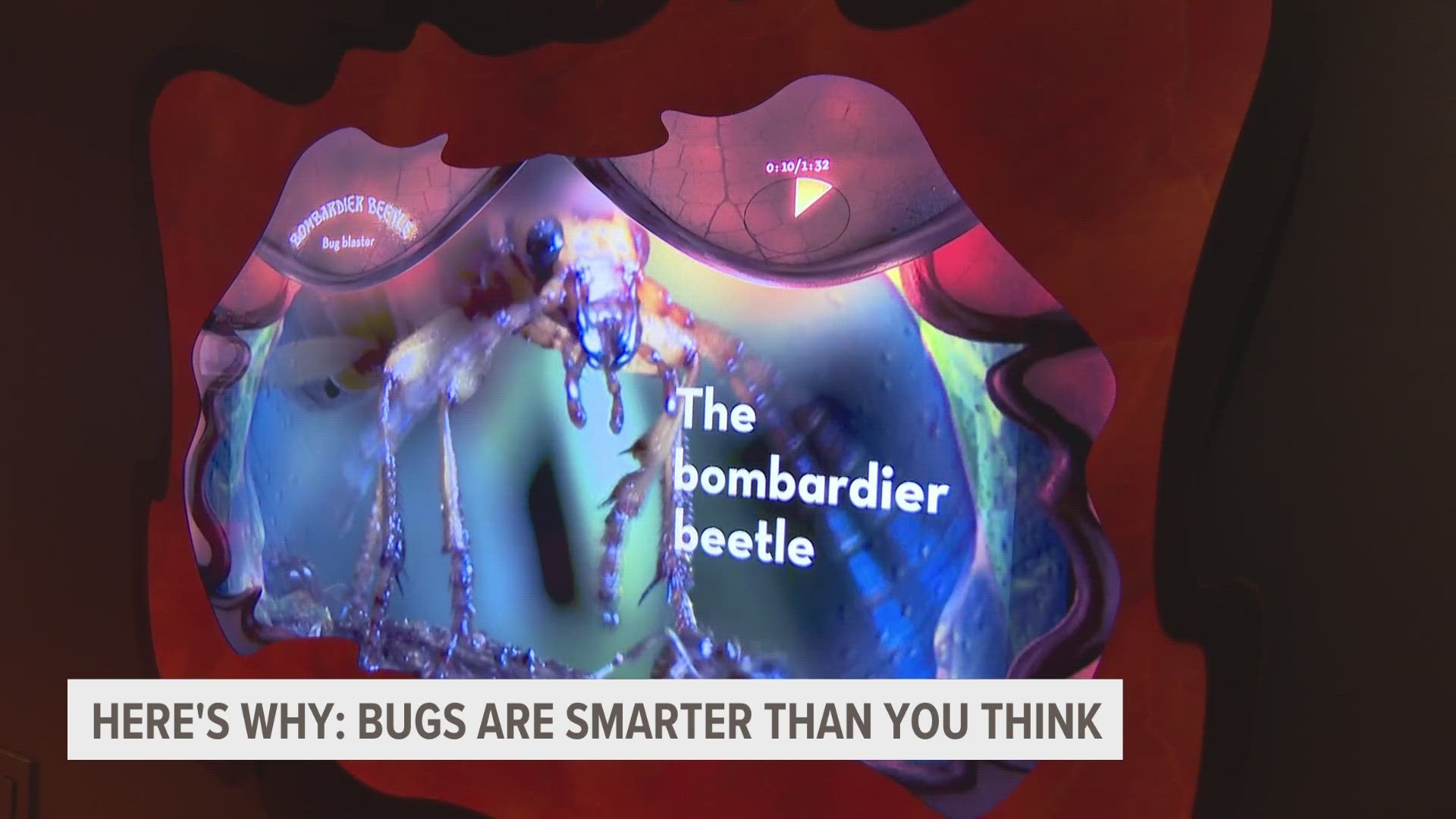 Most people just find bugs to be gross and something to be avoided. However, if you dig below the surface, bugs are actually way smarter than you think!