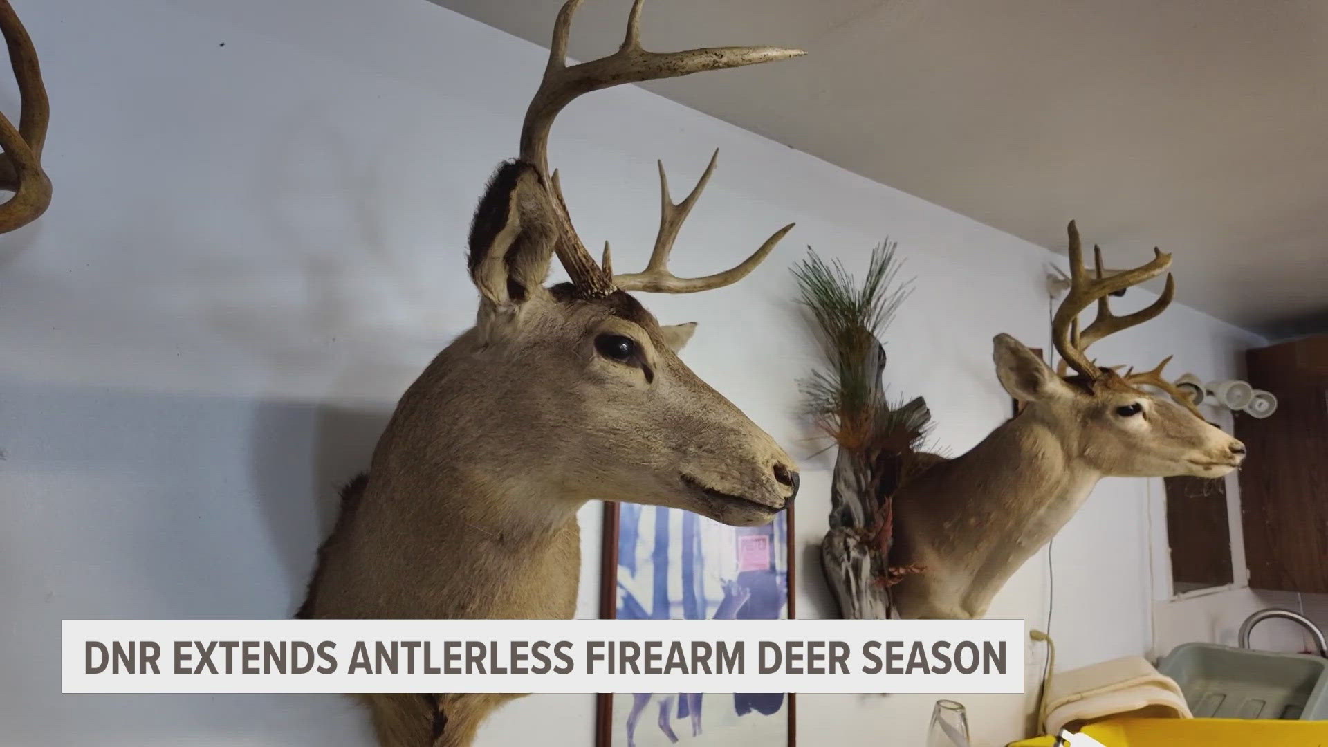 This week began an extension of antlerless firearm deer season until Jan. 12. The Michigan DNR says the move is to control the growing deer population.