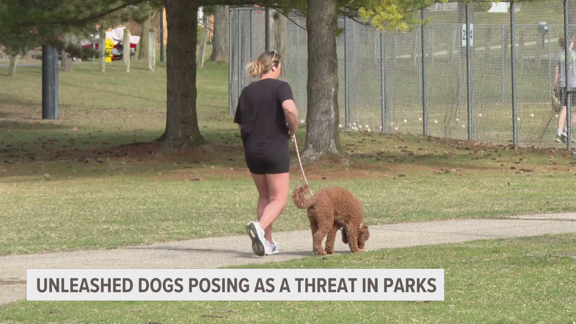 As the weather warms up people are heading to the parks with their pups. However, unleashed dogs can be a problem.