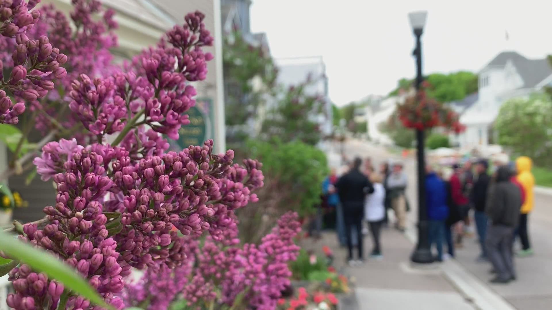 Annual Lilac Festival not happening, but there's still fun to enjoy