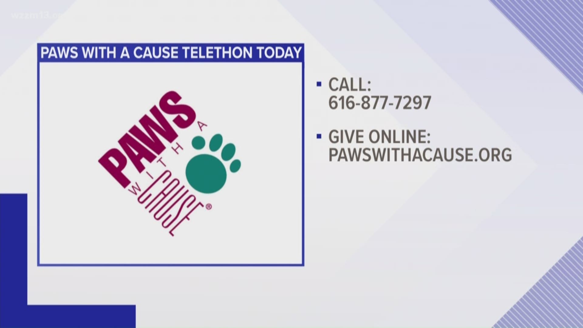 Paws With a Cause Telethon