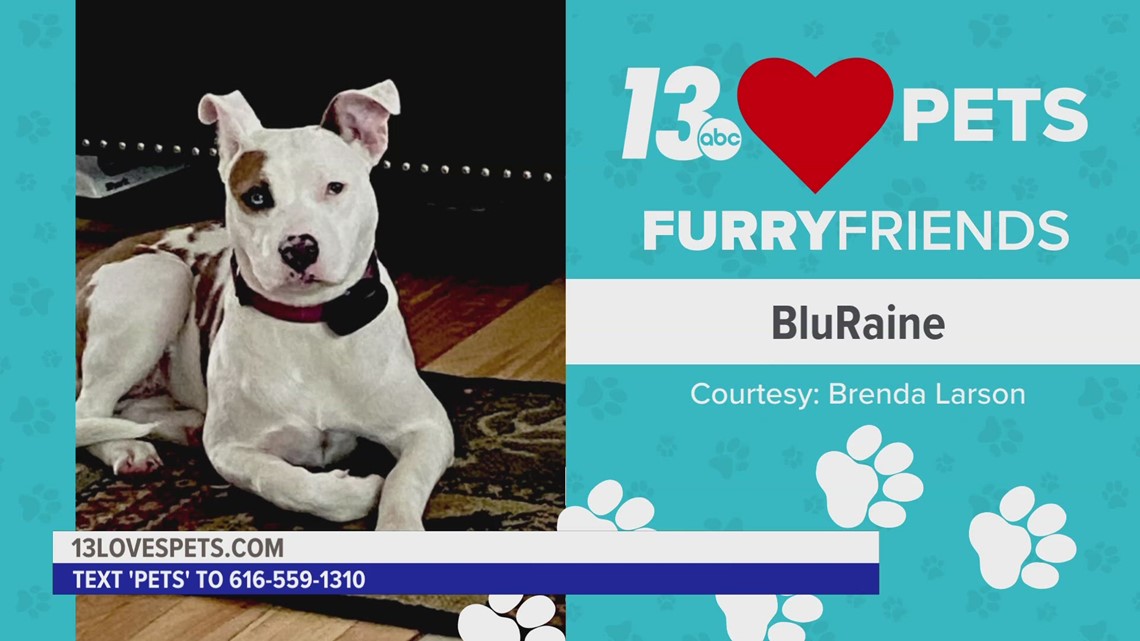 Furry Friends:  March 27, 2023 | BluRaine and Harlow