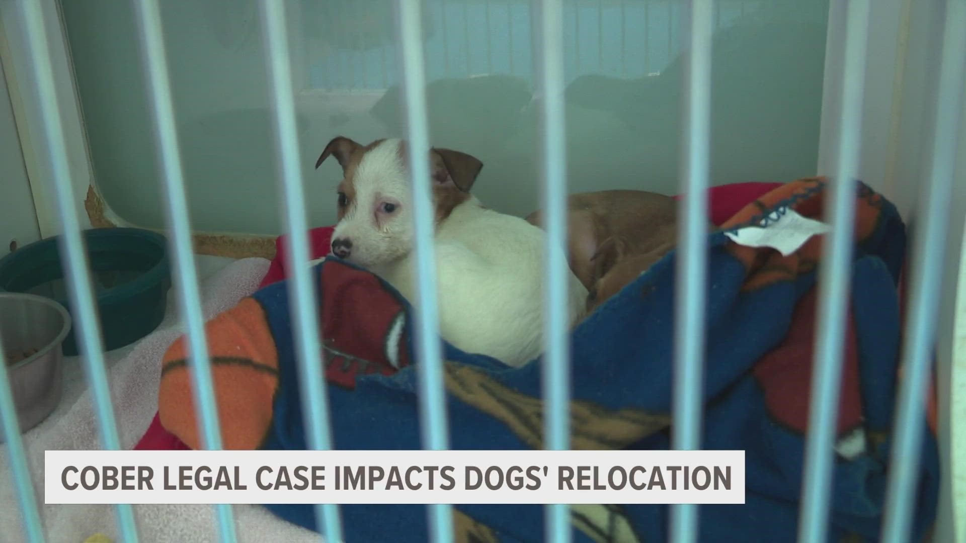 Court documents reveal that the home used for Cober's Canine Rescue was covered in feces and overcrowded with dogs.